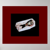 Halbfisch Poster (Vorne)