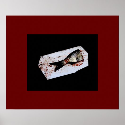 Halbfisch Poster (Vorne)