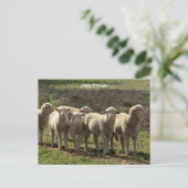 Halbglanz-Postkarte Postkarte (Stehend Vorderseite)
