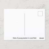 Halbglanz-Postkarte Postkarte (Rückseite)