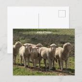 Halbglanz-Postkarte Postkarte (Vorne/Hinten)