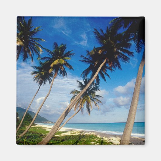 Halbinsel La Samana, Dominikanische Republik, Magnet (Vorne)