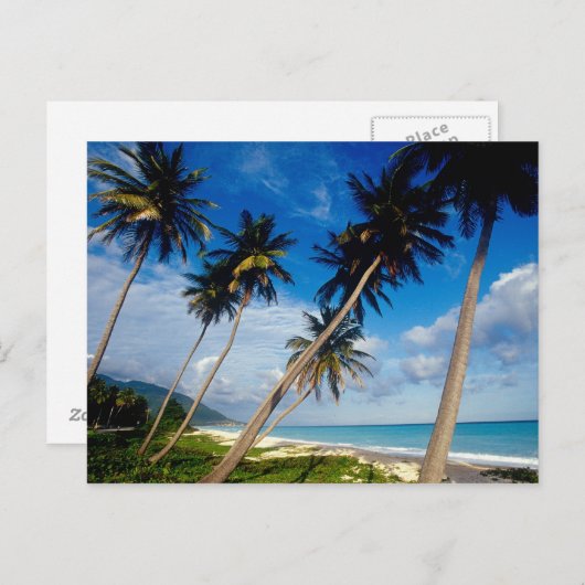 Halbinsel La Samana, Dominikanische Republik, Postkarte (Vorne/Hinten)