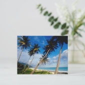 Halbinsel La Samana, Dominikanische Republik, Postkarte (Stehend Vorderseite)