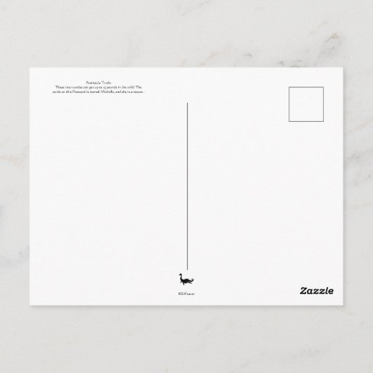Halbinsel Turtle Postkarte (Rückseite)