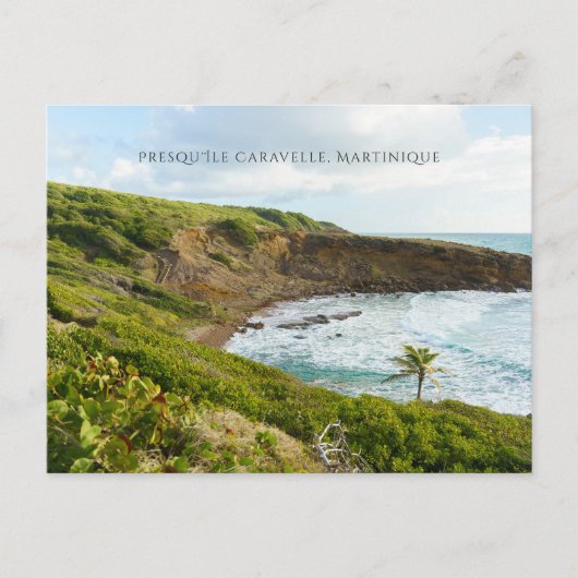 Halbinsel von La Caravelle Martinique Reise Postkarte (Vorderseite)