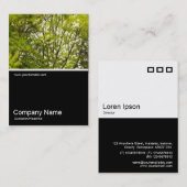 Halbjahr Foto 081 - in den Bäumen, Öl Visitenkarte (Vorne/Hinten)