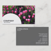 Halbkreis - Bett aus rosafarbenen Tulpen Visitenkarte (Vorne/Hinten)