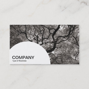 Halbkreis-Panel - Magnolienbaum Visitenkarte