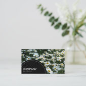 Halbkreis-Panel (Punkte) - Sitzungen Visitenkarte (Stehend Vorderseite)