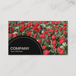 Halbkreis (Punkte) - Rote Tulips Visitenkarte