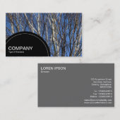 Halbkreis (Punkte) - Silberbrücke Visitenkarte (Vorne/Hinten)