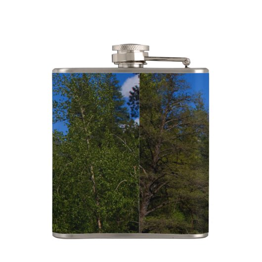 Halbkuppel Flachmann (Rückseite)