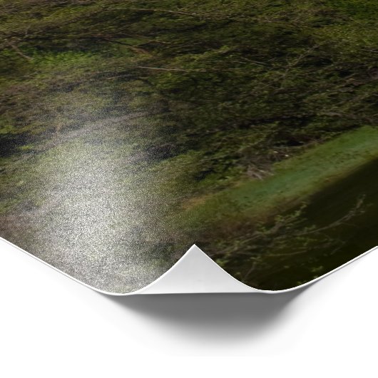 Halbkuppel Fotodruck (Ecke)