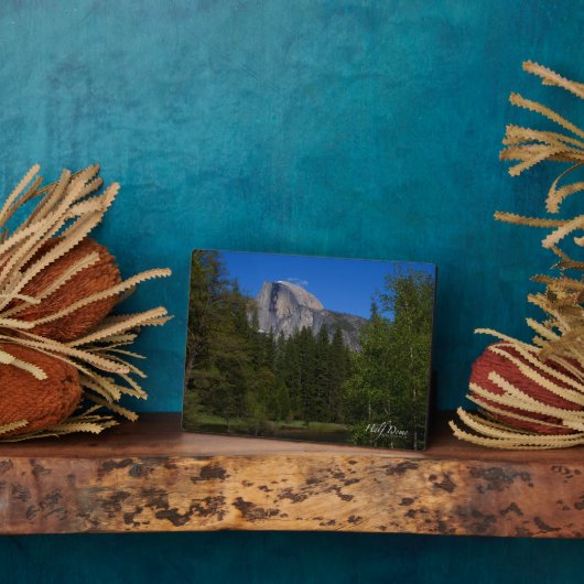 Halbkuppel Fotoplatte (Seite)