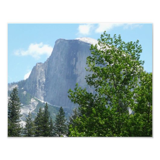 Halbkuppel im Sommer vom Yosemite Nationalpark Fotodruck (Vorne)