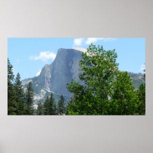 Halbkuppel im Sommer vom Yosemite Nationalpark Poster
