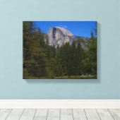 Halbkuppel Leinwanddruck (Insitu (Holzboden))