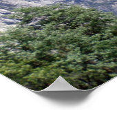 Halbkuppel Poster (Ecke)