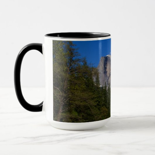 Halbkuppel Tasse (Links)