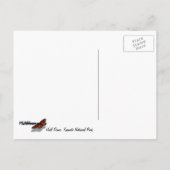 Halbkuppel von der Seite im Yosemite Nationalpark Postkarte (Rückseite)