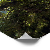 Halbkuppel, Yosemite-Poster Poster (Ecke)