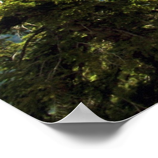 Halbkuppel, Yosemite-Poster Poster (Ecke)