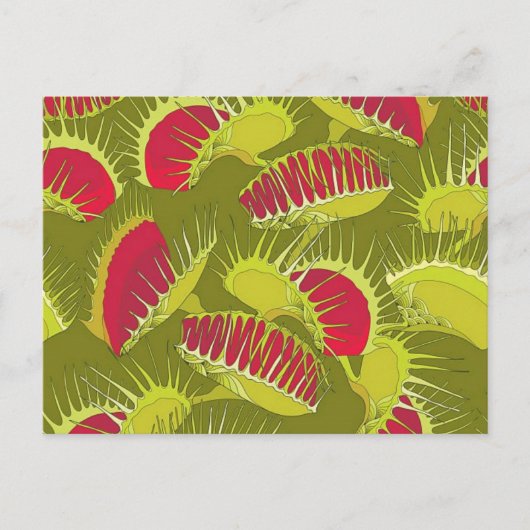 Halbländerfalle Postkarte (Vorderseite)