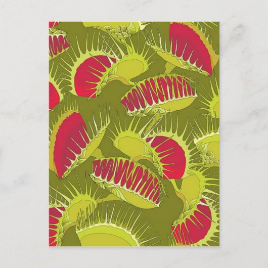 Halbländerfalle Postkarte (Vorderseite)