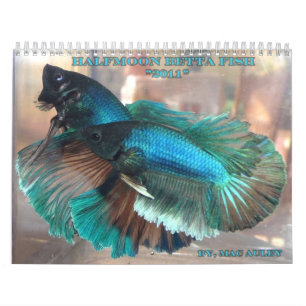 Halbmond Betta Fisch-Kalender Kalender
