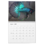 Halbmond Betta Fisch-Kalender Kalender (Mär 2027)