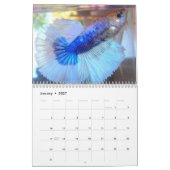Halbmond Betta Fisch-Kalender Kalender (Jan 2027)