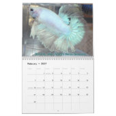Halbmond Betta Fisch-Kalender Kalender (Feb 2027)