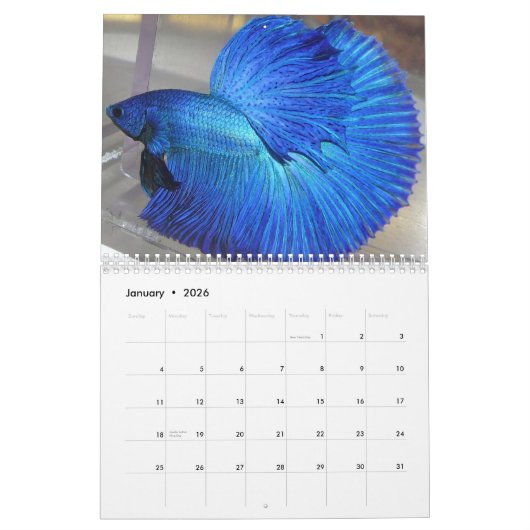 Halbmond Betta Fischkalender 2014 Kalender (Jan 2026)