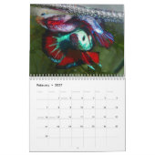 Halbmond Betta Fischkalender 2014 Kalender (Feb 2027)