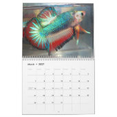 Halbmond Betta Kalender 2013 durch Karen-Mac Auley (Mär 2027)