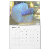 Halbmond Betta Kalender 2013 durch Karen-Mac Auley (Feb 2027)