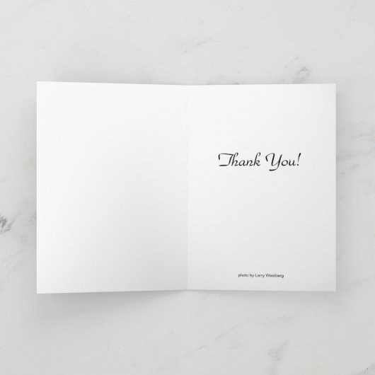 Halbmond-Mond-Über-Schlüssel-Westen-Dock - Dankeskarte (Innenseite)