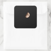 Halbmond Quadratischer Aufkleber (Tasche)