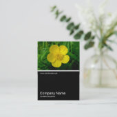 Halbpension Foto 06 - Buttercup Visitenkarte (Stehend Vorderseite)