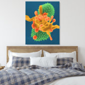 Halbschimmelpilz, gehobelt leinwanddruck (Insitu (Schlafzimmer))