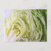 Halbschrift 1 postkarte (Vorderseite)