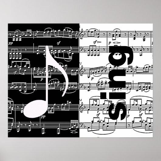 Halbschwarz/Weiß-Musik Poster (Vorne)