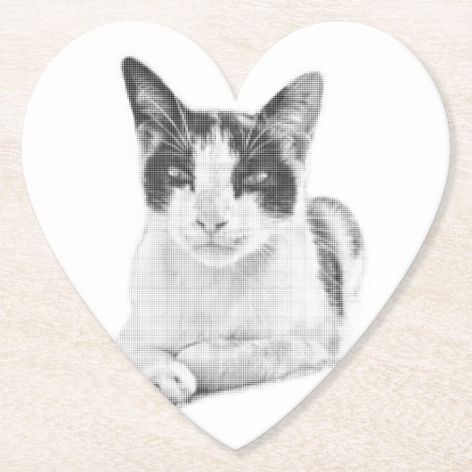Halbton-Katze Untersetzer (Vorderseite)