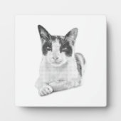 Halbton-Katzenporträt Fotoplatte (Vorderseite)