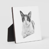 Halbton-Katzenporträt Fotoplatte (Vorderseite)