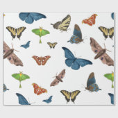 Halbwahnsinn Geschenkpapier (Flach)