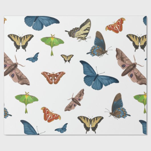 Halbwahnsinn Geschenkpapier (Flach)