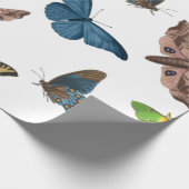 Halbwahnsinn Geschenkpapier (Ecke)