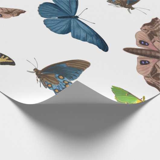 Halbwahnsinn Geschenkpapier (Ecke)